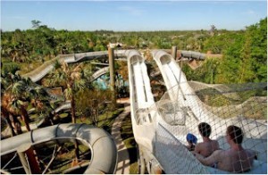 The Crush 'n' Gusher Slide at Typhoon Lagoon