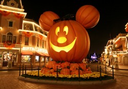 MNSSHP & MVMCP on Sale Now!