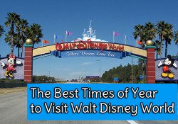 Best Times of Year to Visit Disney World