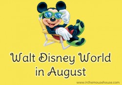 Walt Disney World in August