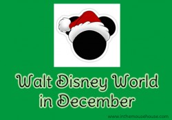 Walt Disney World in December