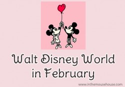 Walt Disney World in February
