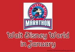 Walt Disney World in January