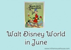 Walt Disney World in June