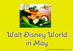 Walt Disney World in May