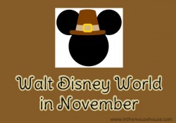 Walt Disney World in November