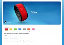 How to Customize Your MagicBands